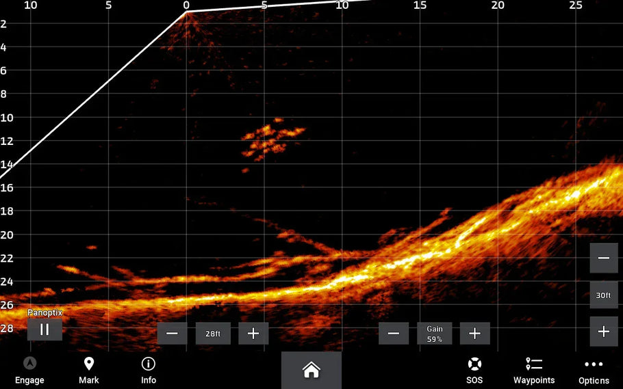 Garmin LiveScope Plus live sonar